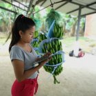 En Valencia ha crecido el trabajo para las mujeres.