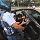 Se sancionó con una muleta de 100 dólares a 30 conductores por infracciones como mantener en las ventanas del carro películas antisolares.