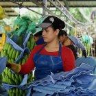 Preocupan las ventas a mercados tradicionales.