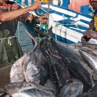 Oferta. Las ventas de atún sumaron $1.108 millones, un 5 % menos.