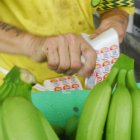 Mucha fruta podría quedarse en el país.