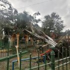 Hecho. CNEL desconectó el servicio de electricidad en la Martha de Roldós hasta que el árbol sea retirado.