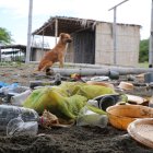 Afectaciones. En las cuatro comunas, el paisaje permanece la mayor parte del tiempo igual que como se observa en la foto. Los animales, sobre todo perros y gallinazos, deambulan por el lugar sin horario.