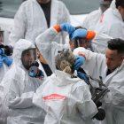 El coronavirus ha impulsado la compra de novelas sobre plagas y epidemias.