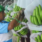 En febrero y marzo comenzaron los problemas por el coronavirus.