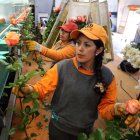 Las cancelaciones de pedidos debido al coronavirus han puesto en jaque al sector florícola ecuatoriano.