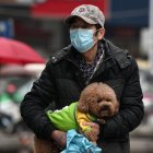 Aún no se ha confirmado que los animales puedan ser un foco de contagio.