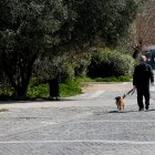 Las mascotas son en España como un salvoconducto, mientras en otros países aún pueden circular en horarios restringidos.