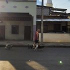 Algunas personas pasean a sus mascotas en horario prohibido.