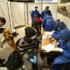 Es importante que en cualquier caso, el paciente cuente con asistencia médica.