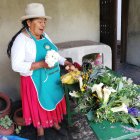 Curandera. María Pauta, selecciona los ingredientes que utilizará para preparar uno de jugos que le solicitan los clientes. Lleva 45 años en este oficio.