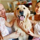 Iniciativas. Aumente las muestras de cariño y juegos donde participen todos.