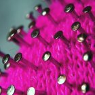 Diario de una madre en cuarentena, día 12.