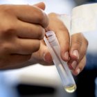 A picture taken on March 31, 2020 shows testing equipment for infectious diseases like the novel coronavirus (Covid-19) in the Microvida laboratory in the Bravis hospital in Roosendaal, The Netherlands, amid the outbreak of COVID-19 (novel coronavirus).  - Netherlands OUT
 / AFP / ANP / Sem VAN DER WAL

 NETHERLANDS-HEALTH-VIRUS