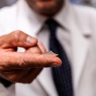 La Universidad de Pittsburgh estudia vacuna contra el Covid-19