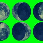 "Diario de una madre en cuarentena", por Cecilia Tecchi.