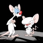 Se espera que Pinky y Cerebro se estrene el 24 de septiembre por medio de la plataforma Hulu.