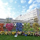 LONDRES. El primer coronavirus fue identificado hace más de 50años en el hospital St Thomas, justo donde fue ingresado el primer ministro británico, Boris Johnson, para tratarse de esta enfermedad.