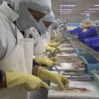 Las empresas podrían tener la opción de reducir la jornada y los sueldos, hasta por dos años.