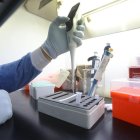 Matt Hancock dijo que el Reino Unido apostará “todo lo que tiene” para desarrollar una vacuna.