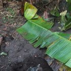 La fuerza pública está vigilando el sitio para evitar posibles daños a la salud de los habitantes.