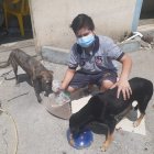 En el barrio, los vecinos se unan para ayudar a las mascotas.