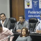 El exdirectivo de la FEF, Álex De la Torre, afirmó que la FIFA respetará la decisión del directorio.