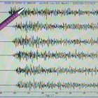 Los sismos de profundidades superficiales (menores a 15 kilómetros en este caso), responden a la actividad sísmica de fallas relacionadas con el levantamiento subandino Cutucú.