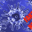 Las noticias falsas sobre el coronavirus son cada vez más comunes. Aquí desenmascaramos una.