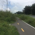 Entorno. Ese es el panorama actual que se percibe en vía a la costa.