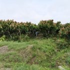 Las cooperativas tienen mucho impacto en el sector rural