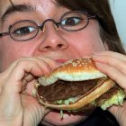 Las grasas saturadas se encuentran en alimentos fritos, procesados y otros.