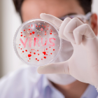 Nueve macacos adultos fueron infectados con el virus SARS-CoV-2.