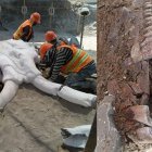 Detalles de los hallazgos.