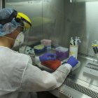 El Laboratorio de Biomedicina de la Espol también realiza pruebas de diagnóstico del nuevo coronavirus.