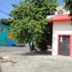 Uno de los árboles que se deben podar en el barrio Garay, en Guayaquil, y que sus ramas están topando los cables de energía eléctrica.