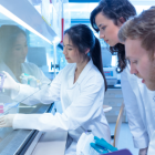 El estudio, publicado el 22 de mayo en la prestigiosa publicación médica, se basa en los datos de unos 96.000 pacientes.