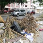 Preocupación. Junto a estos objetos figuran otros desperdicios arrojados en los parterres.