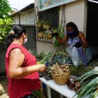 Usuario. Amelia Monte despacha pedidos de clientes. Tiene ruda, eucalipto, insulina y dulcamara entre otras hierbas curativas.