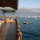 PUERTO AYORA. En Galápagos, cuna de la teoría de la evolución, parte de la actividad científica se suspendió debido a la pandemia del coronavirus, que también paralizó el turismo a las islas encantadas.