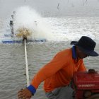 En el sector camaronero se usa combustibles para las máquinas de aireación.