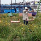 Los parques y veredas de Quito aún lucen descuidados