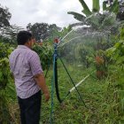En las plantaciones de cacao el aspersor o cañón se mueve de un lado a otro para mojar la mayor cantidad de superficie.