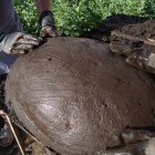 Se coloca en la bandeja y se lo cubre con 10 a 15 cm de lodo. La bola de lodo, con el ave en el interior, está lista para llevarla al horno.