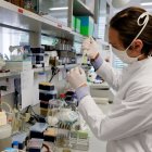 MARBURG. Un viróloga de la Universidad Philipps, de esta ciudad alemana, es parte del programa que investiga una vacuna contra el COVID-19, junto con otros organismos científicos de este país.