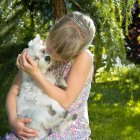 Los perros de asistencia o servicio son claves en familias con niños con autismo.