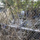 El monte ha crecido tanto en las afueras de la unidad educativa Dolores Cacuango, ubicada en el norte de la ciudad, que dificulta observar el interior de esta.