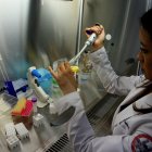 Linda Guamán, de 35 años, estudió ingeniera en Alimentos, hizo una maestría en Microbiología en la Universidad San Francisco de Quito y un doctorado en Microbiología en la Universidad de Sao Paulo.