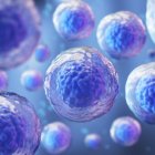 Una nueva tecnología que impulsa in vitro e in vivo el potencial de las células madre para especializarse en células adultas.