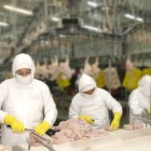 Pronaca pudo colocar todas sus obligaciones.